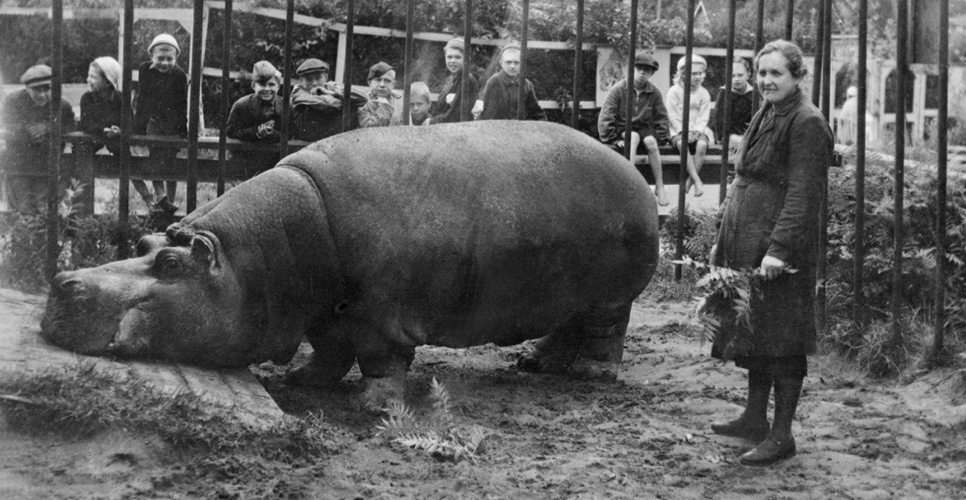 При поддержке фонда «История Отечества» вышел документальный фильм о блокадном зоопарке