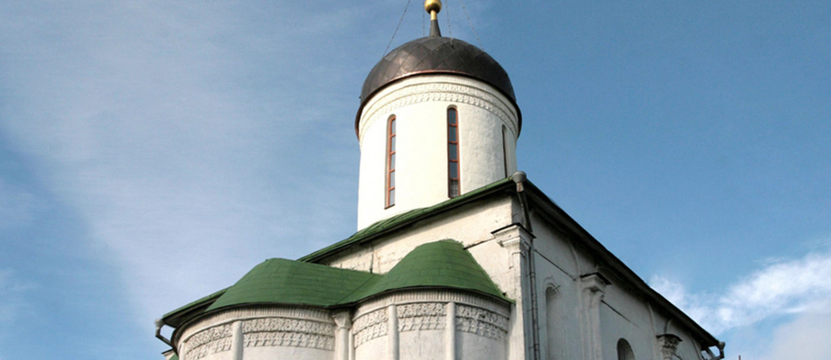 Уникальный «птичий архив» обнаружен  под крышей Успенского собора в Звенигороде