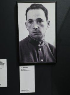 SHAR6938.jpg