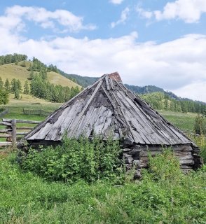 s00149566.jpg