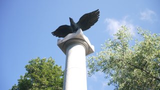 Still_2026-07-31_124635_181.jpg