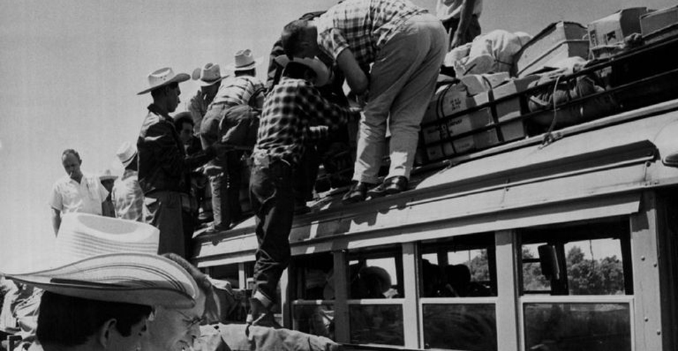 17 мая 1954 года в США началась операция по массовой депортации мексиканских мигрантов